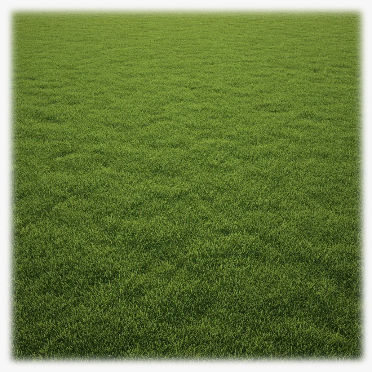 草丛 3d model